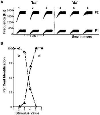 How learning to abstract shapes neural sound representations